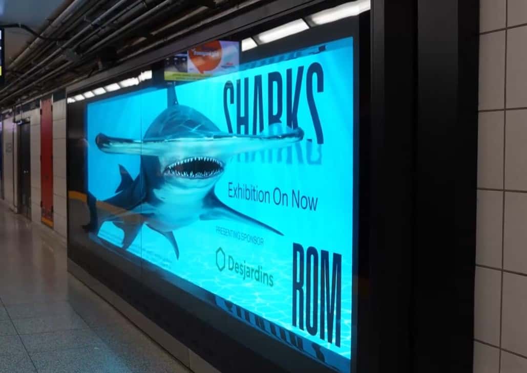 Queen Station LED Canvas Wall