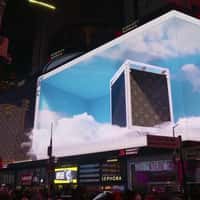 Louis Vuitton Shoes in Transparent Trunk