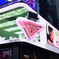 Prada Paradoxe Bottle Emerges from Screen