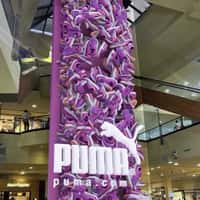 Puma Running Shoes Fill the Screen