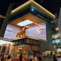 Golden Bull Breaks Through Glass Screen
