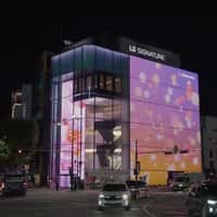 LG Orange Ball Floats Through Petals and Clouds