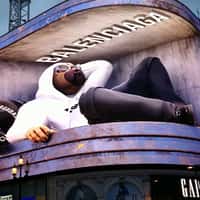 Balenciaga Shady Doggo Pug Peeks Out