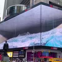 Waves Splash on Screen Forming Whale