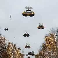 Balmain Bags Delivered by Doves in Paris
