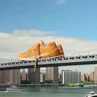 Foot Locker Sneakers Dropped on Bridge