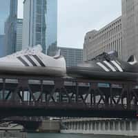 Foot Locker Sneakers Riding Above Train