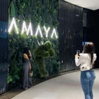 Amaya Dubai Grass Person Emerges From Wall Display