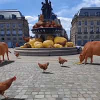 Quoifaireabordeaux Farm Products Spotted at Plaza 
