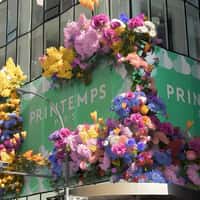 Printemps Spring Flowers Bloom on Facade