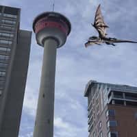 Dragon’s Den Dragon Flies Across the City