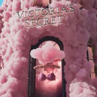 Victoria’s Secret Bra Reveal in Pink Clouds
