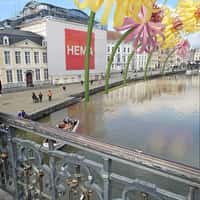 HEMA Paper Flowers Bloom on Riverside