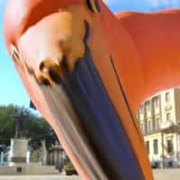 SunBeer Fest Skating Flamingo Chasing Couple