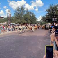 Skechers Shoe Tractors on Bull Parade