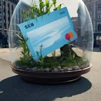 SEB Debit Card Inside Terrarium on Street