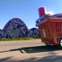 Americanas Woman Runs Into Grocery Basket on Wheels
