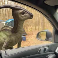 Netflix Dinosaurs Appear in Front of Car 