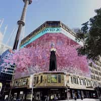Afterpay Façade Turned to Blooming Screen
