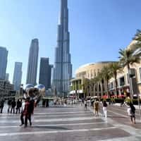 Jimmy John’s Brand’s Airplane Lands in Dubai Airport