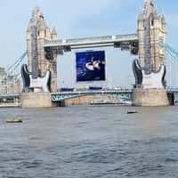 Lenny Kravitz Electric Guitars on Tower Bridge