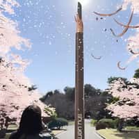 Shu Uemura Eyebrow Pencil Sharpened by Sakura