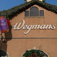 Sauz Tomato Trees Bearing Sauce in Bottles