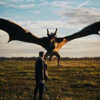 Samsung Swordsman's Duel with the Dragon