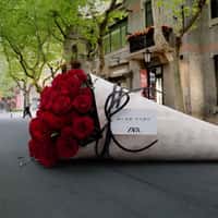 Zara Bouquet of Red Roses on the Street