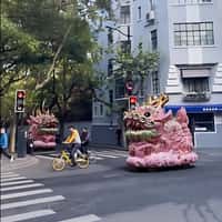 Zara Dragon on Wheels at Shanghai