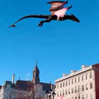 Dragon's Den Dragon Spotted Soaring Over City