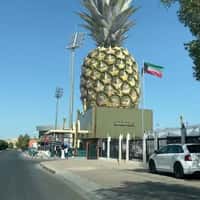 Ananas Pineapple Installation Above Store