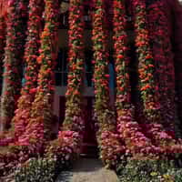 Aseel Restaurants Flowers Cover Entire Facade