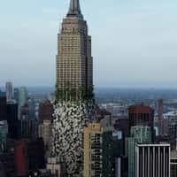 Carolina Herrera White Flowers Bloom in NYC