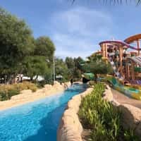 Delphin Hotels Man Surfs on Silver Dolphin