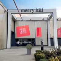 Hada Labo Shopping Bag on Overhead Conveyor