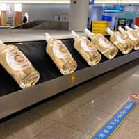 Pasqua Wine Bottle Rolls on Conveyor