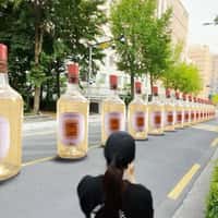 Pasqua Wine Bottles in Domino Effect