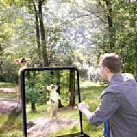 Samsung Galaxy Phone Transformed into Window