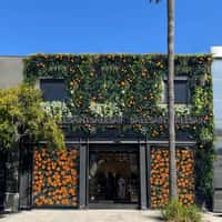 AllSaints Store Facade Turned into Garden