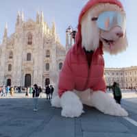 Benetton Giant Dog Poses at Cathedral