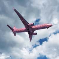 Burga Plane Flies Above Stockholm City Hall