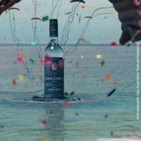Casal Garcia Wine Paragliders Fly Above the Bay
