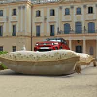 Citroën Car Riding on Pillow