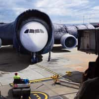 D-LUXE Airplane Wears a Puffer Jacket