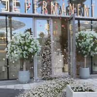 Elle Garden Blooms at Salon
