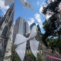 Eva Lendel Butterfly Bows Perched on the Buildings