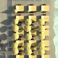 Jacquemus Yellow Umbrellas Unfurling at Beach