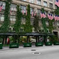 Saks Vines Cascade from Window Display