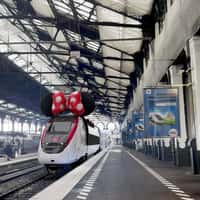 TGV Train Wears Minnie Mouse Bow